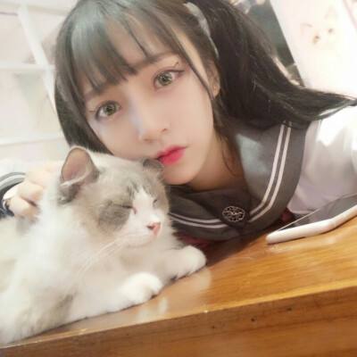猛男三国志内购破解版下载